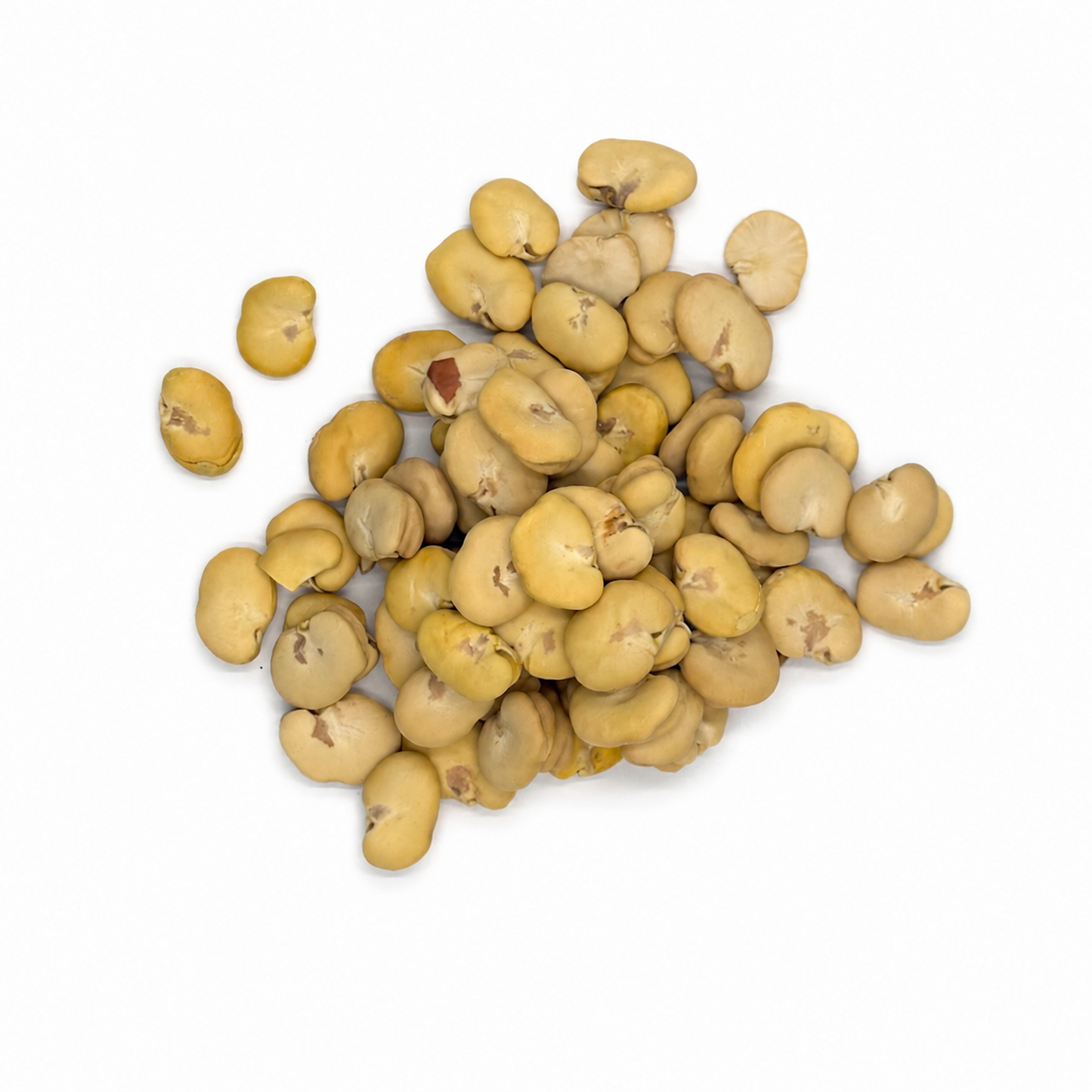 Premium Broad Beans (Fava) – Dried Habas for Soups, Snacks & Middle Eastern Dishes