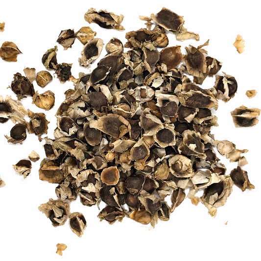 Moringa Seeds (Semilla de Moringa) – Dried Botanical Seeds for Planting & Infusions