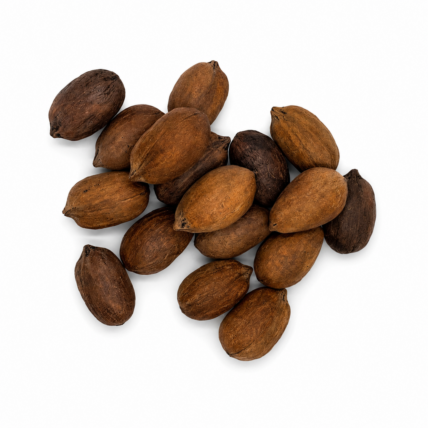Premium Paper-Shell Walnuts (In-Shell) – Easy-Crack Nuez de Cáscara de Papel