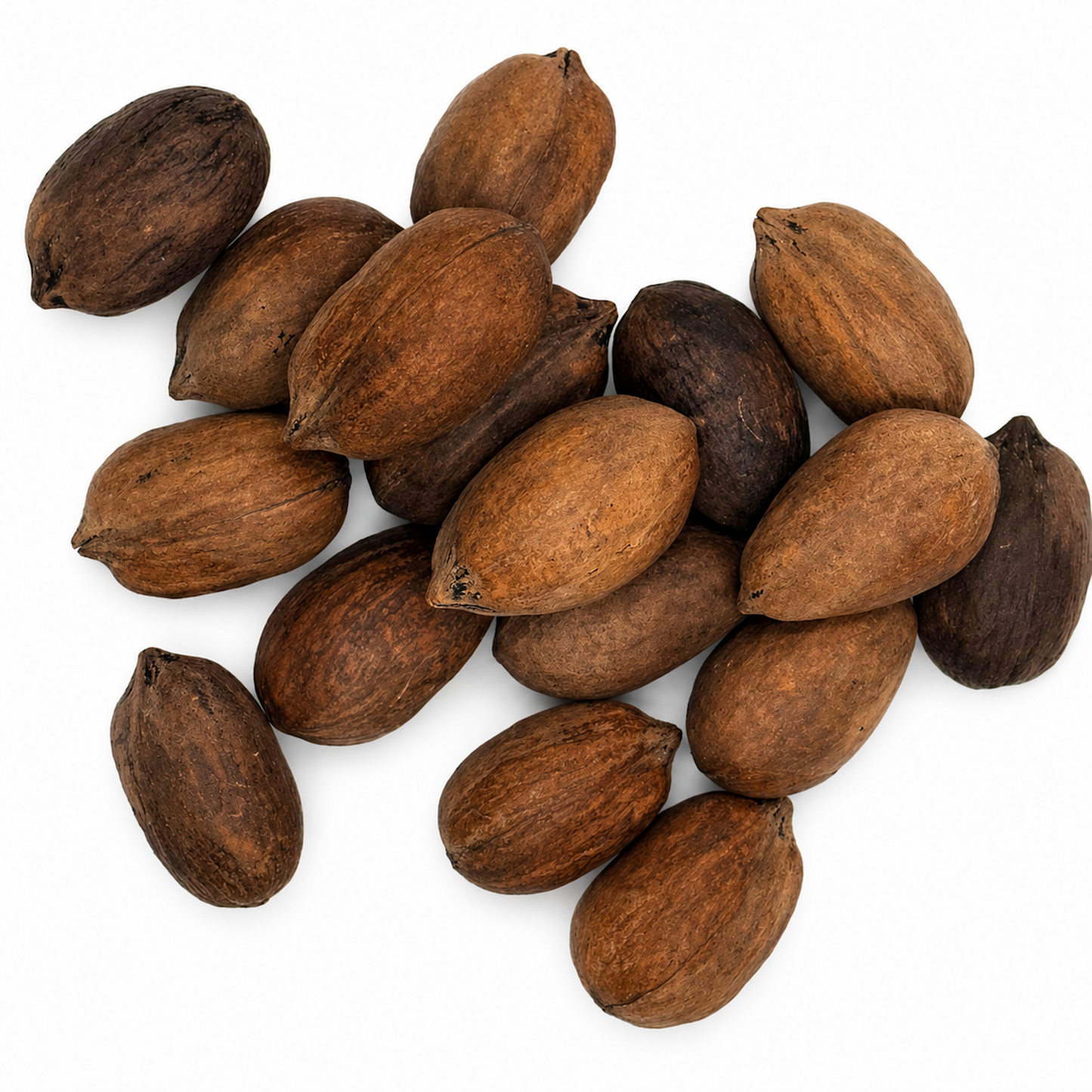 Premium Paper-Shell Walnuts (In-Shell) – Easy-Crack Nuez de Cáscara de Papel