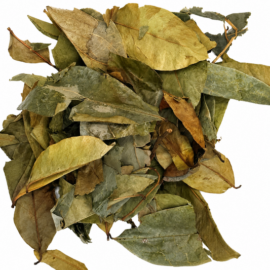 Soursop Leaves (Hoja de Guanábana) – Dried Leaves for Herbal Tea & Infusions