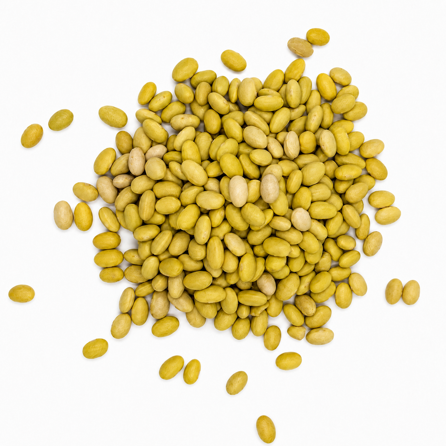 Premium Peruvian Mayocoba Beans – Frijol Peruano for Refritos & Soups