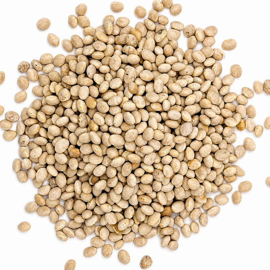 Premium White Alubia Beans – Cannellini-Style White Beans for Soups & Stews