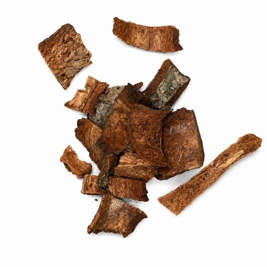 Cuachalalate Bark – Alma Pura Specialties