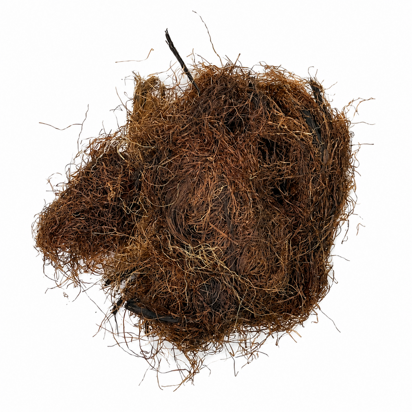 Corn Silk (Pelo de Elote) – Dried Herb for Traditional Herbal Tea & Infusions