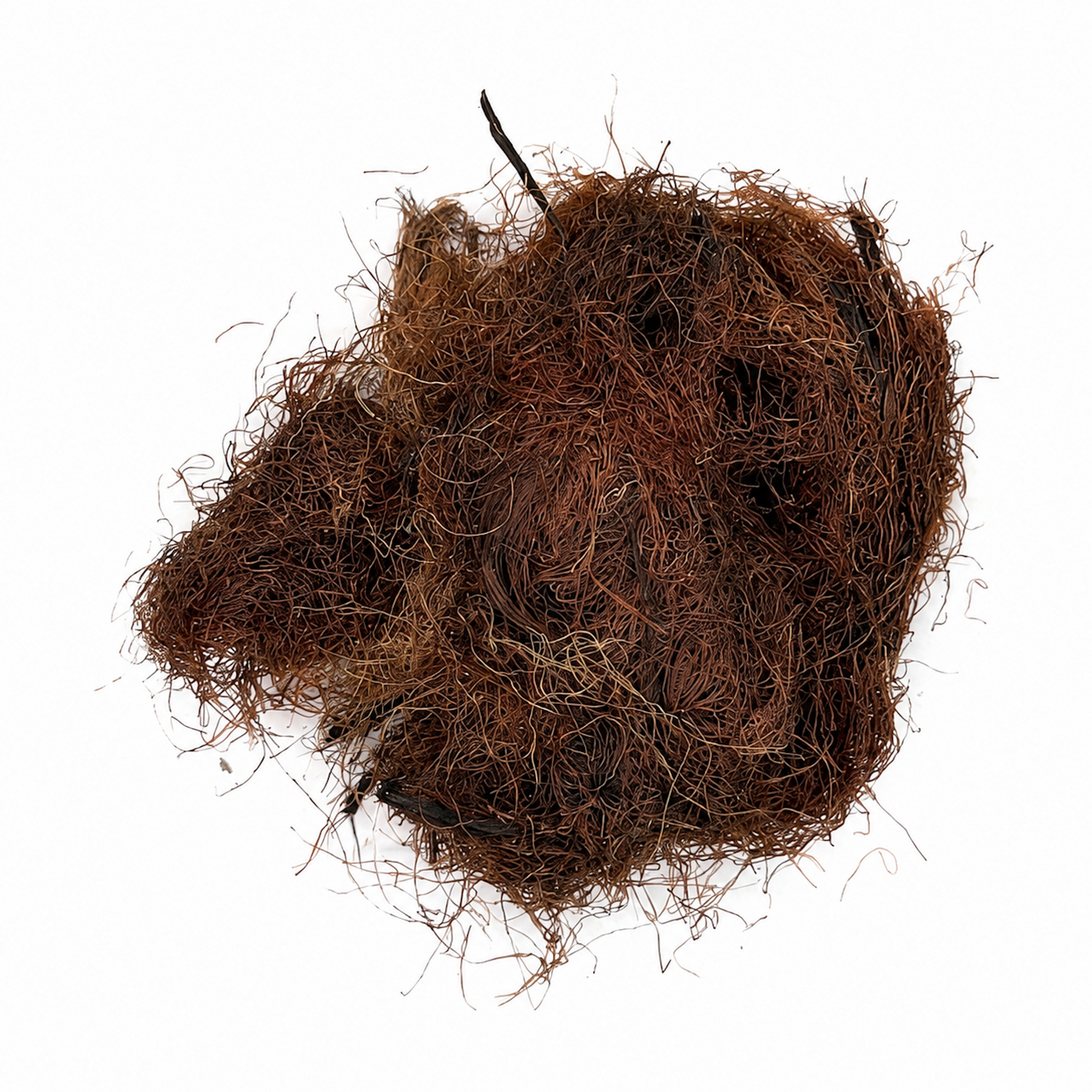 Corn Silk (Pelo de Elote) – Dried Herb for Traditional Herbal Tea & Infusions