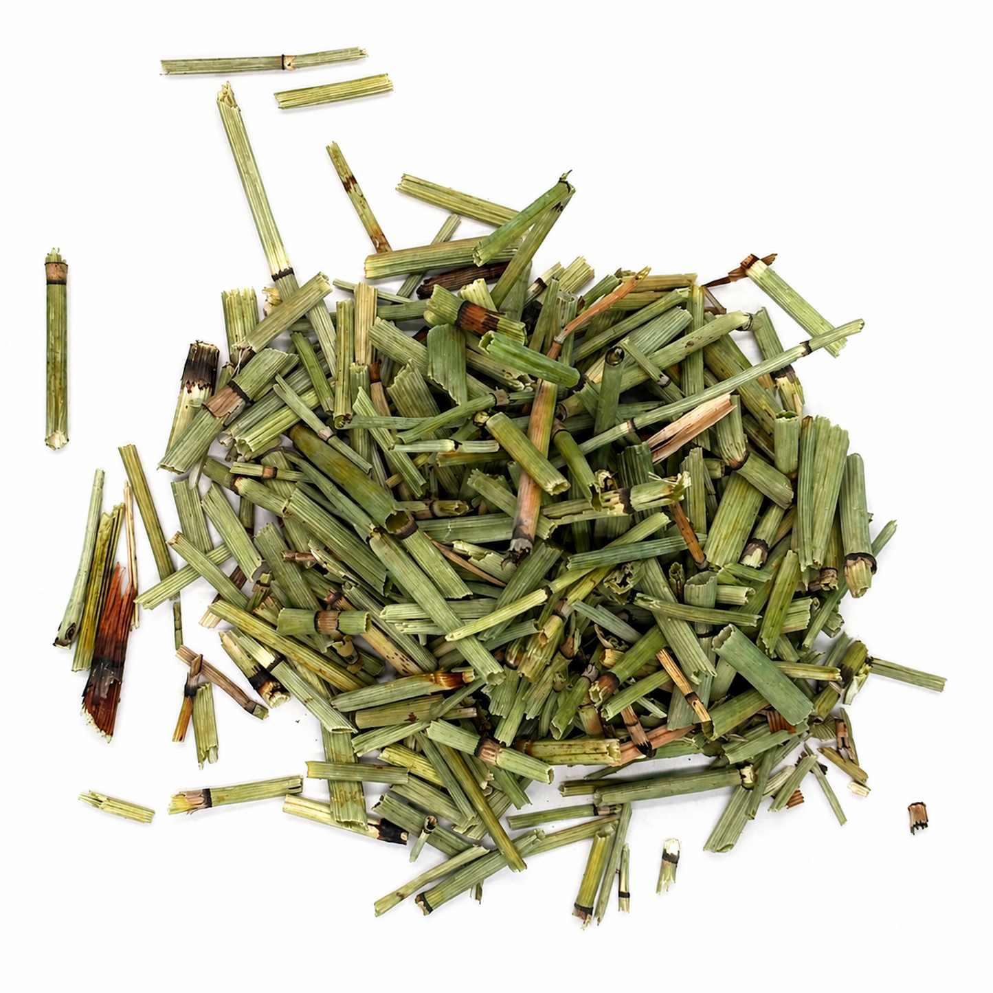 Horsetail Herb (Cola de Caballo) – Dried Herb for Traditional Herbal Tea & Infusions