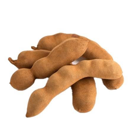 Premium Whole Tamarind (Select) – San Jose Farms