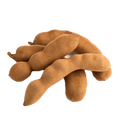 Premium Whole Tamarind (Select) – San Jose Farms