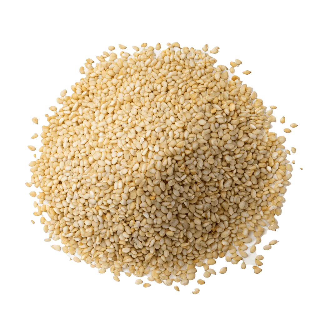 Premium Sesame Seeds – San Jose Farms