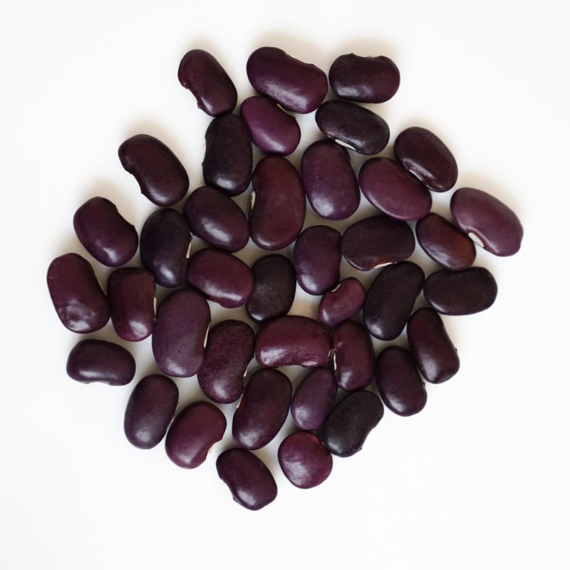 Premium Purple Ayocote Beans – San Jose Farms