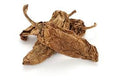 Premium Dried Chipotle Meco Chiles – San Jose Farms