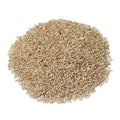 Premium Canary Seeds – San Jose Farms