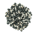 Premium Blue Corn – San Jose Farms